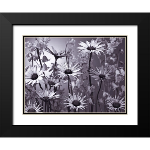 Meadow flowers Black Modern Wood Framed Art Print with Double Matting by Frank, Assaf