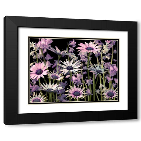 Meadow flowers Black Modern Wood Framed Art Print with Double Matting by Frank, Assaf