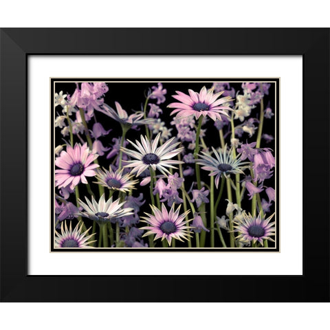 Meadow flowers Black Modern Wood Framed Art Print with Double Matting by Frank, Assaf