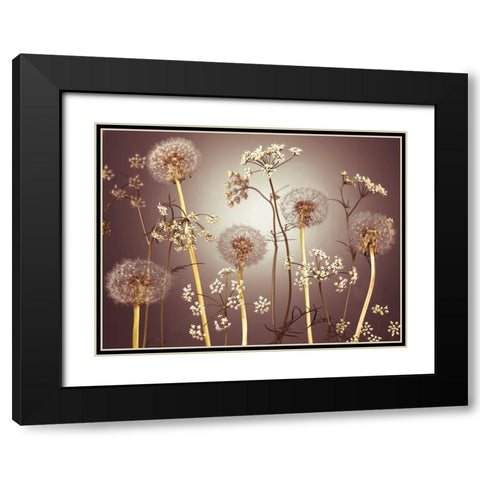 Meadow flowers Black Modern Wood Framed Art Print with Double Matting by Frank, Assaf