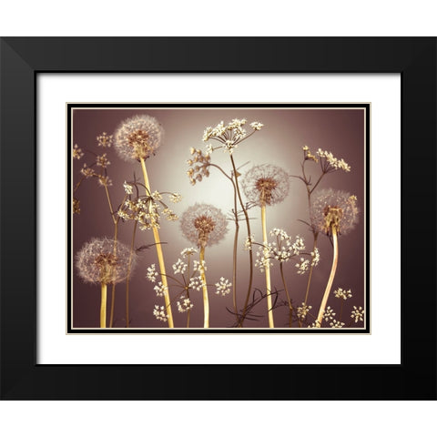 Meadow flowers Black Modern Wood Framed Art Print with Double Matting by Frank, Assaf