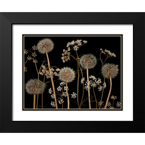 Meadow flowers Black Modern Wood Framed Art Print with Double Matting by Frank, Assaf