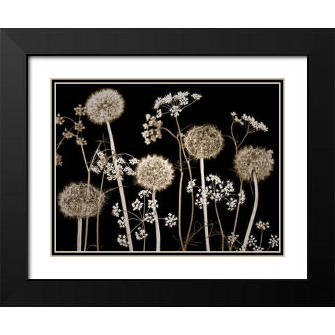 Meadow flowers Black Modern Wood Framed Art Print with Double Matting by Frank, Assaf