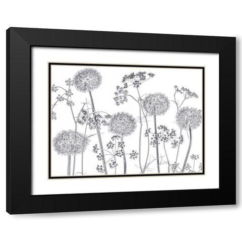 Meadow flowers Black Modern Wood Framed Art Print with Double Matting by Frank, Assaf