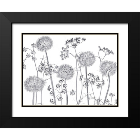 Meadow flowers Black Modern Wood Framed Art Print with Double Matting by Frank, Assaf