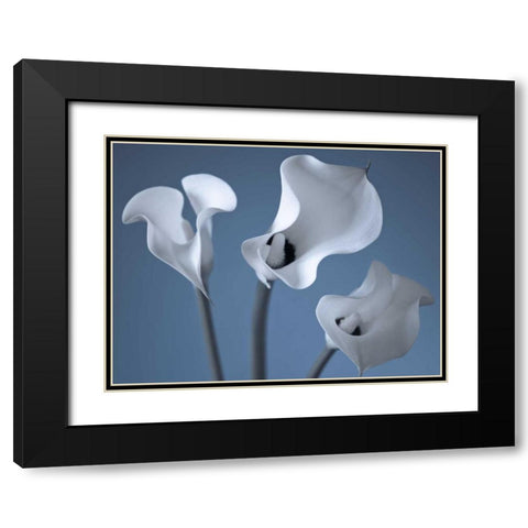 Three Calla Lilies Black Modern Wood Framed Art Print with Double Matting by Frank, Assaf