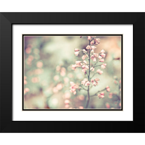 Flowering Heuchera Black Modern Wood Framed Art Print with Double Matting by Frank, Assaf