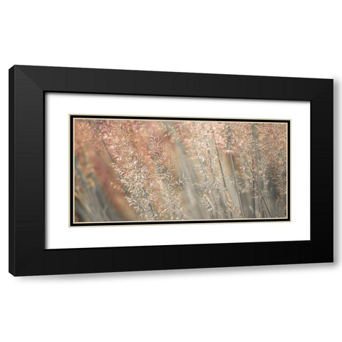 Fountain grass Black Modern Wood Framed Art Print with Double Matting by Frank, Assaf