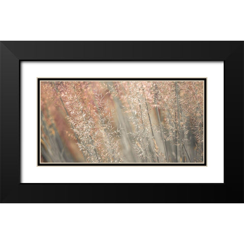 Fountain grass Black Modern Wood Framed Art Print with Double Matting by Frank, Assaf