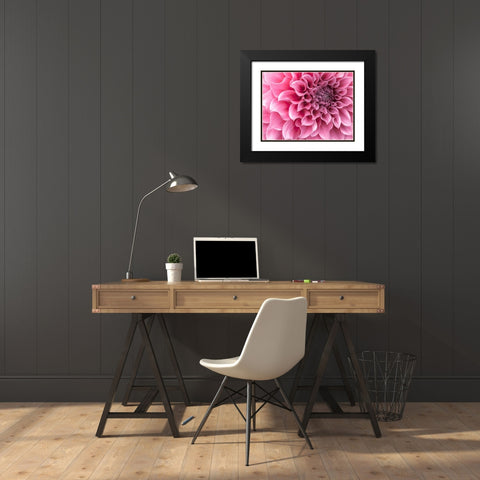 Dahlia flower - Full frame Black Modern Wood Framed Art Print with Double Matting by Frank, Assaf
