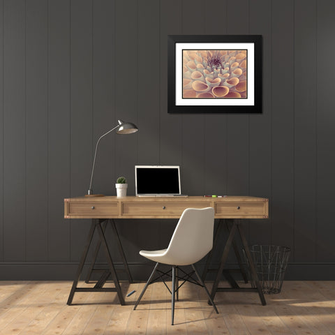 Dahlia Flower Black Modern Wood Framed Art Print with Double Matting by Frank, Assaf