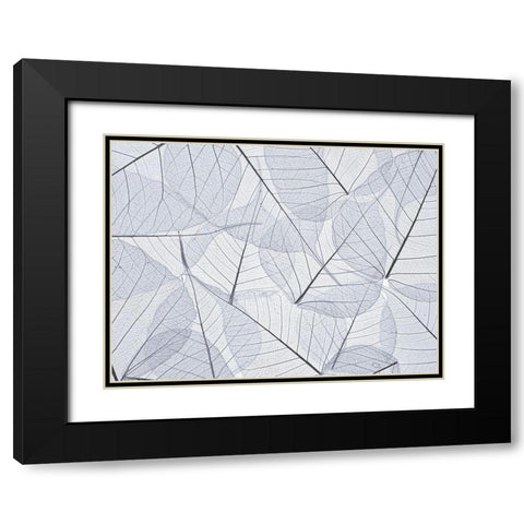 Skeleton leaves Black Modern Wood Framed Art Print with Double Matting by Frank, Assaf