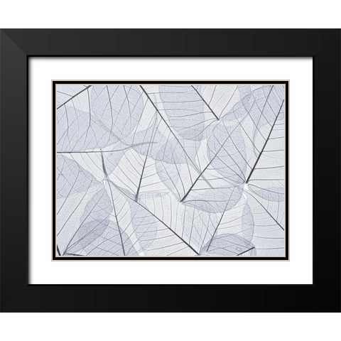Skeleton leaves Black Modern Wood Framed Art Print with Double Matting by Frank, Assaf