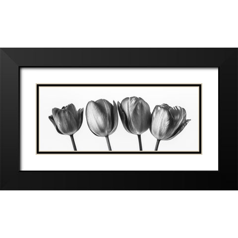 Four tulips, FTBR-1795 Black Modern Wood Framed Art Print with Double Matting by Frank, Assaf
