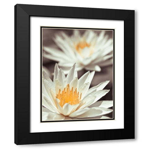 Water Lilies Black Modern Wood Framed Art Print with Double Matting by Frank, Assaf