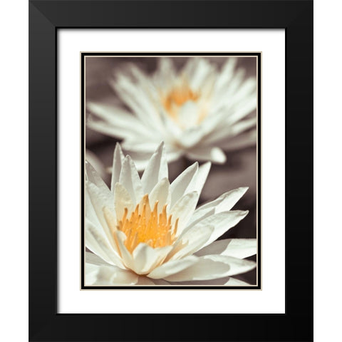 Water Lilies Black Modern Wood Framed Art Print with Double Matting by Frank, Assaf