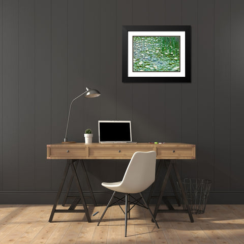 Water Lilies Black Modern Wood Framed Art Print with Double Matting by Frank, Assaf