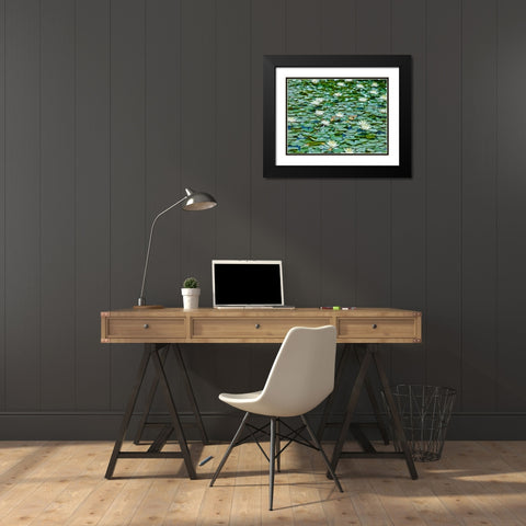 Water Lilies Black Modern Wood Framed Art Print with Double Matting by Frank, Assaf