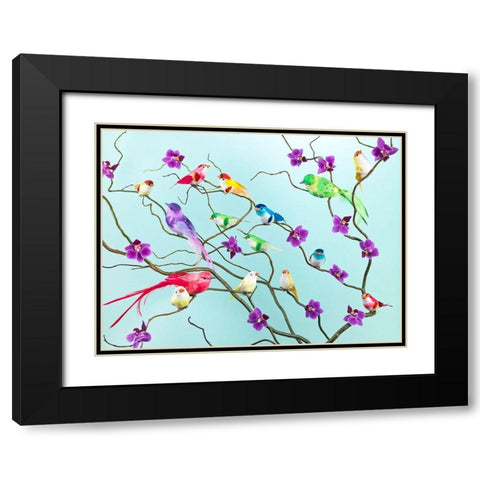 Fake birds on branches Black Modern Wood Framed Art Print with Double Matting by Frank, Assaf