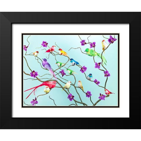 Fake birds on branches Black Modern Wood Framed Art Print with Double Matting by Frank, Assaf