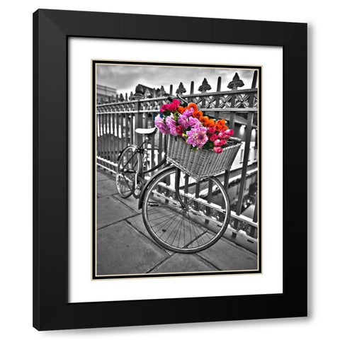 Bicycles with flowers Black Modern Wood Framed Art Print with Double Matting by Frank, Assaf