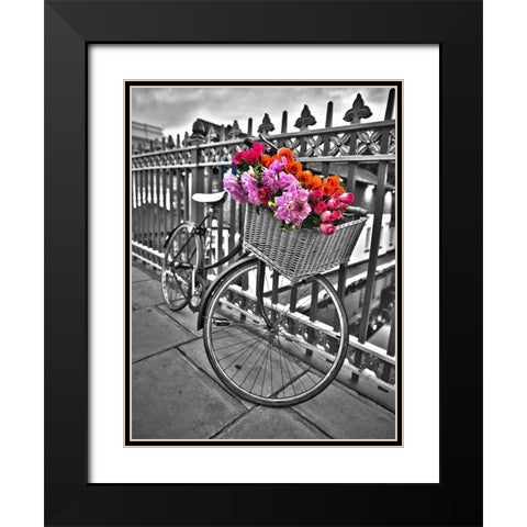 Bicycles with flowers Black Modern Wood Framed Art Print with Double Matting by Frank, Assaf