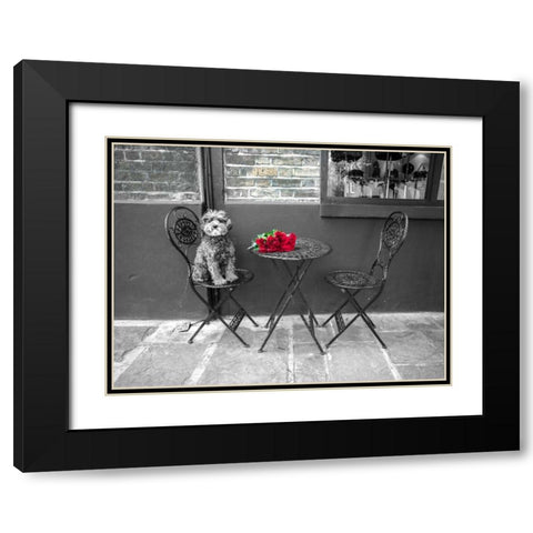 Dog Sitting on a chair with a banch of roses on a table Black Modern Wood Framed Art Print with Double Matting by Frank, Assaf