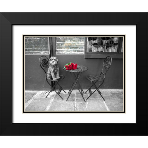 Dog Sitting on a chair with a banch of roses on a table Black Modern Wood Framed Art Print with Double Matting by Frank, Assaf