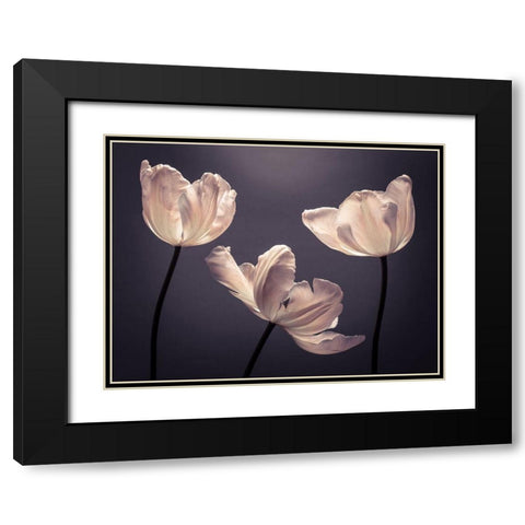 Three Tulips, FTBR-1824 Black Modern Wood Framed Art Print with Double Matting by Frank, Assaf