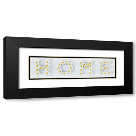 The word Home written in white Roses, FTBR-1915 Black Modern Wood Framed Art Print with Double Matting by Frank, Assaf