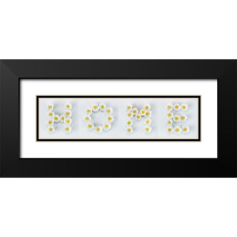 The word Home written in white Roses, FTBR-1915 Black Modern Wood Framed Art Print with Double Matting by Frank, Assaf