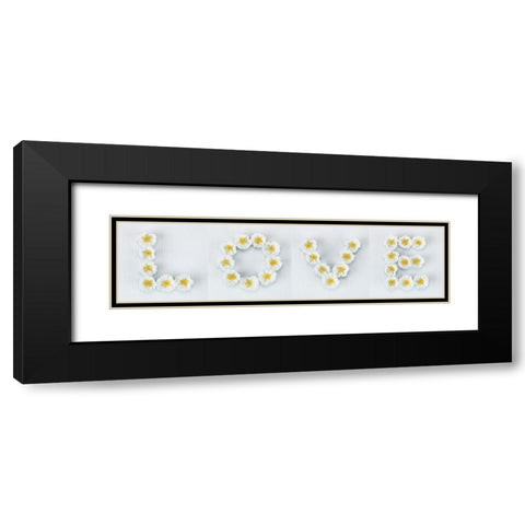 Word Love written in white Roses, FTBR-1916 Black Modern Wood Framed Art Print with Double Matting by Frank, Assaf