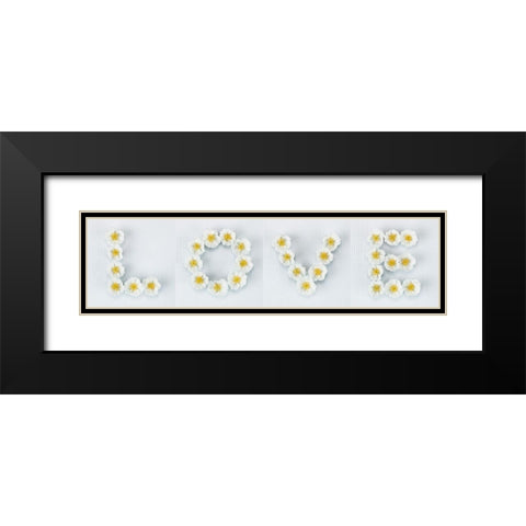 Word Love written in white Roses, FTBR-1916 Black Modern Wood Framed Art Print with Double Matting by Frank, Assaf