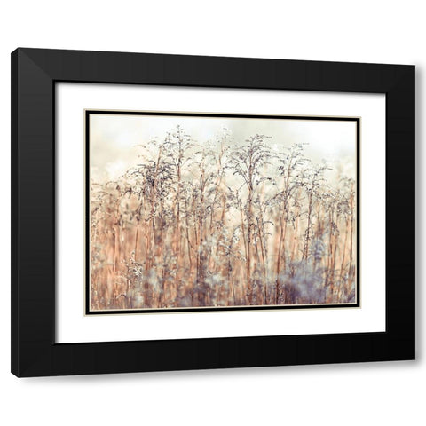 Grass Reeds Black Modern Wood Framed Art Print with Double Matting by Frank, Assaf