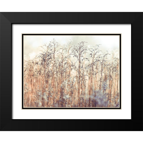 Grass Reeds Black Modern Wood Framed Art Print with Double Matting by Frank, Assaf