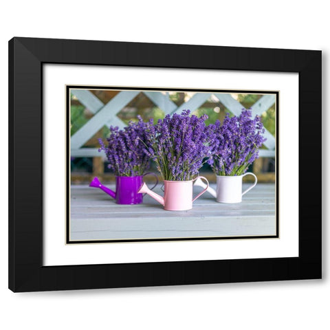 Watering cans with Lavender flowers Black Modern Wood Framed Art Print with Double Matting by Frank, Assaf