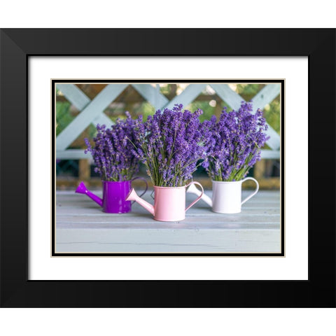 Watering cans with Lavender flowers Black Modern Wood Framed Art Print with Double Matting by Frank, Assaf