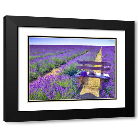 Bench in Lavender field Black Modern Wood Framed Art Print with Double Matting by Frank, Assaf
