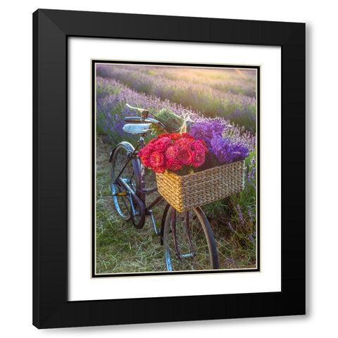 Basket of flowers on a bicycle Black Modern Wood Framed Art Print with Double Matting by Frank, Assaf