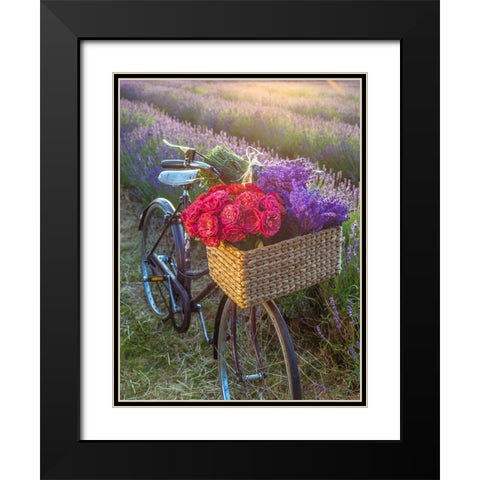 Basket of flowers on a bicycle Black Modern Wood Framed Art Print with Double Matting by Frank, Assaf