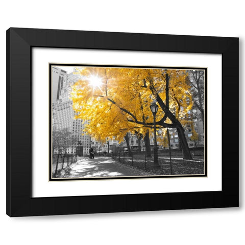 Pathway through Central park, New York City Black Modern Wood Framed Art Print with Double Matting by Frank, Assaf