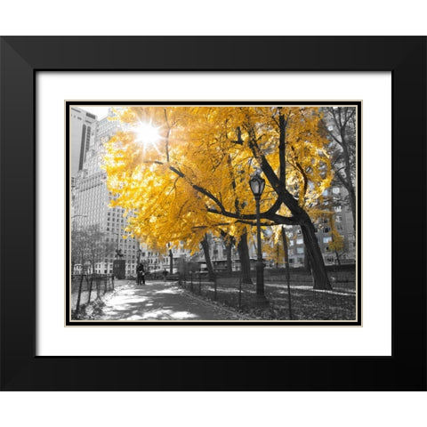 Pathway through Central park, New York City Black Modern Wood Framed Art Print with Double Matting by Frank, Assaf