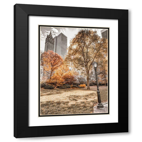 Central park in autumn-Manhattan-New York Black Modern Wood Framed Art Print with Double Matting by Frank, Assaf