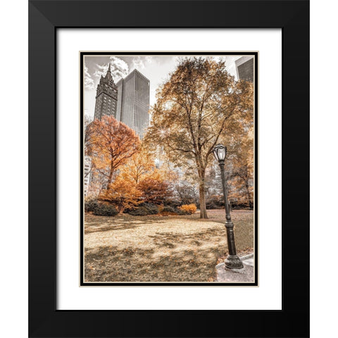 Central park in autumn-Manhattan-New York Black Modern Wood Framed Art Print with Double Matting by Frank, Assaf
