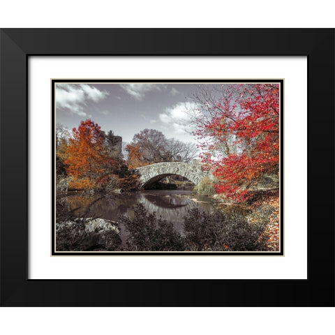 Gapstow bridge in the Autumn, Central park, New York Black Modern Wood Framed Art Print with Double Matting by Frank, Assaf