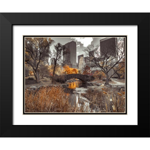 Gapstow Bridge in autumn, Central Park, New York city, FTBR-1801 Black Modern Wood Framed Art Print with Double Matting by Frank, Assaf
