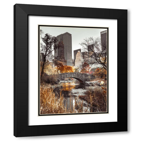 Gapstow bridge in autumn, Central Park, New York city, FTBR-1802 Black Modern Wood Framed Art Print with Double Matting by Frank, Assaf