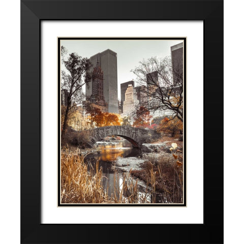 Gapstow bridge in autumn, Central Park, New York city, FTBR-1802 Black Modern Wood Framed Art Print with Double Matting by Frank, Assaf
