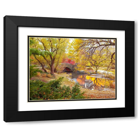 Gapstow bridge in autumn-Central Park-New York city Black Modern Wood Framed Art Print with Double Matting by Frank, Assaf