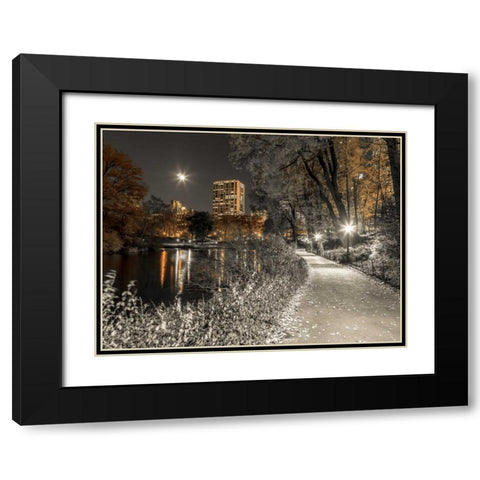 Evening view of Central Park in New York City Black Modern Wood Framed Art Print with Double Matting by Frank, Assaf